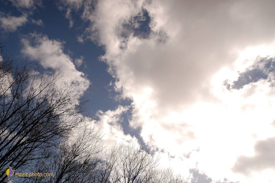 Nom de l'image : D1120342-01_(c)Norbert-JUNG — Description :  PËlerinage de Chartres 2004